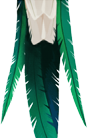 Quetzal Clipart Transparent - Quetzal Clipart Transparent (640x480)