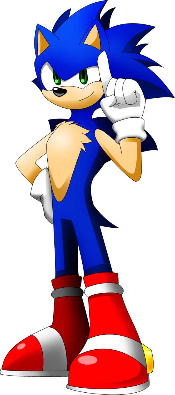 Hedgehog Clipart Realistic - Hedgehog Clipart Realistic (595x1343)