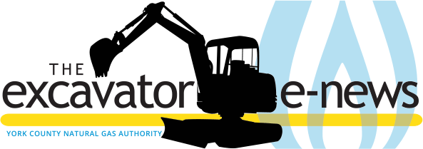 Newsletter Excavatorrevenflo2017 07 13t21 - Newsletter Excavatorrevenflo2017 07 13t21 (593x209)