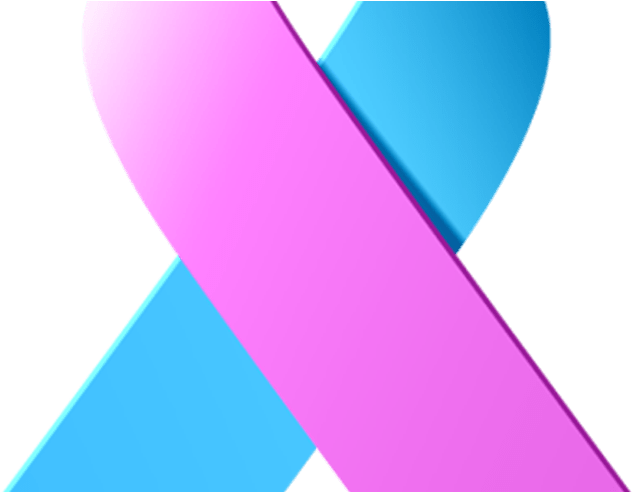 Clip Art Download At Getdrawings Com Free For Personal - Clip Art Download At Getdrawings Com Free For Personal (800x491)