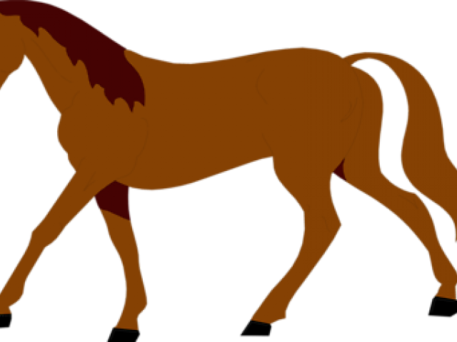Stallion Clipart Transparent - Stallion Clipart Transparent (640x480)
