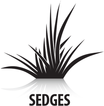 Katana Turf Herbicide Controls Poa Annua Plus - Katana Turf Herbicide Controls Poa Annua Plus (585x585)