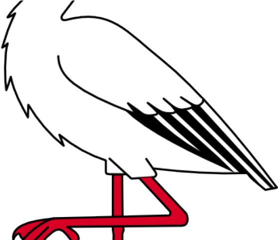 Stork Clipart Bangau - Stork Clipart Bangau (640x480)