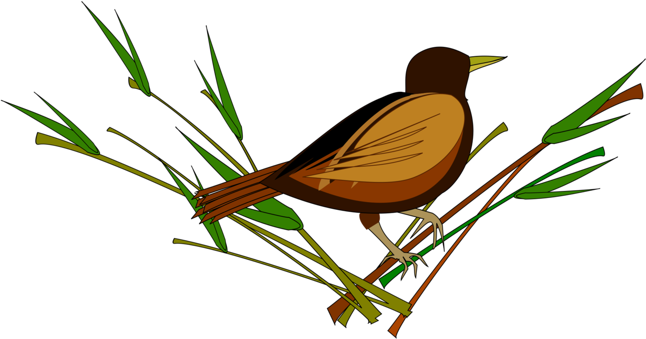 All Photo Png Clipart - All Photo Png Clipart (1432x750)