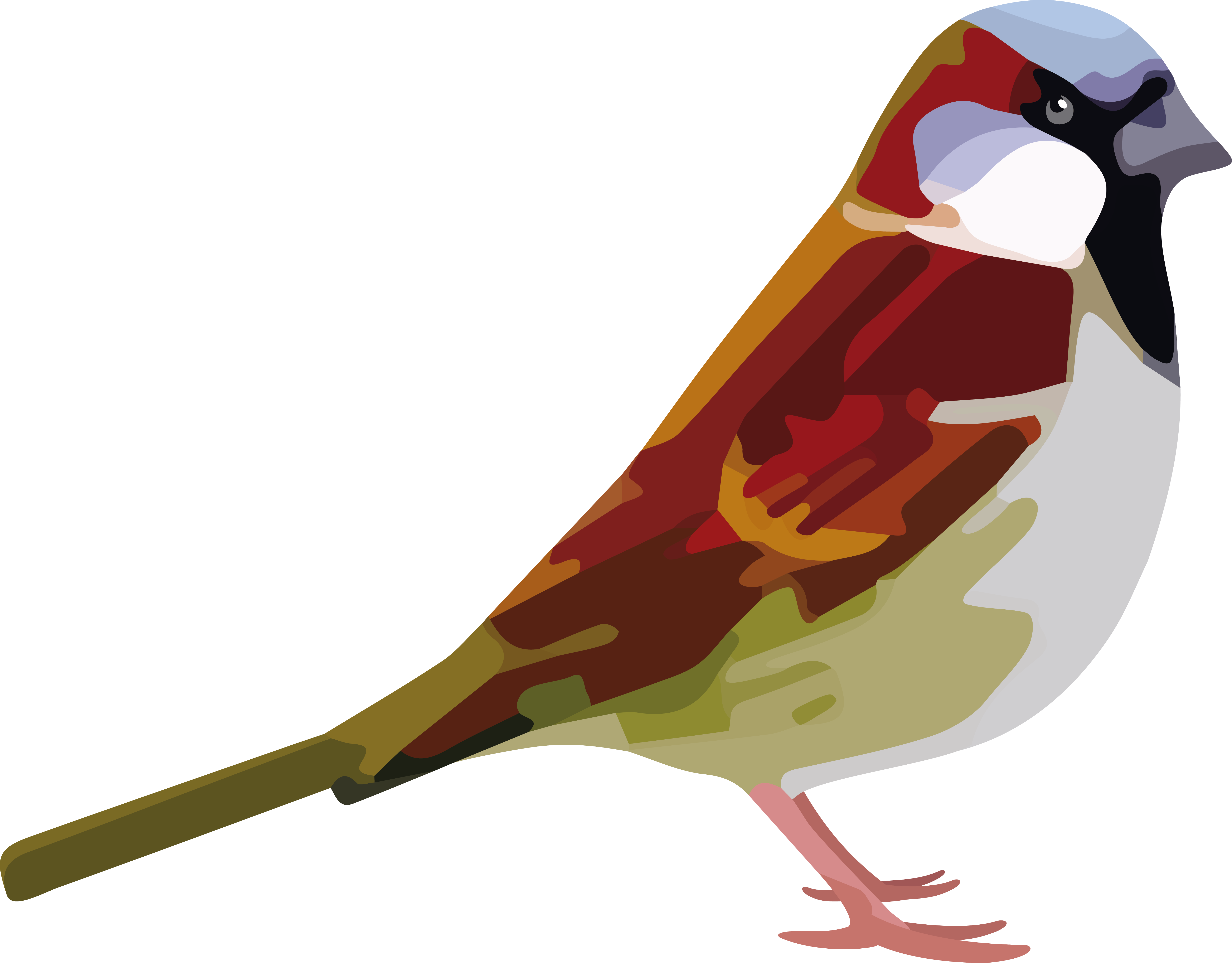 Sparrow Quantum Blegdamsvej 17 2100 Cph Denmark Phone - Sparrow Quantum Blegdamsvej 17 2100 Cph Denmark Phone (5906x4616)