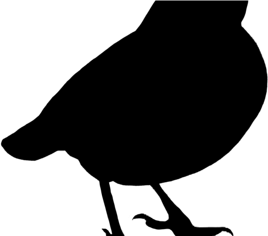 Drawn Sparrow Silhouette - Drawn Sparrow Silhouette (640x480)