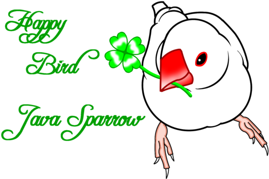 Happy Bird Java Sparrow （白文鳥） - Happy Bird Java Sparrow （白文鳥） (550x374)