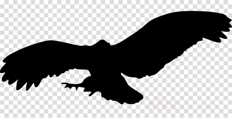 Custom Black Flying Eagle Silhouette Flask Clipart - Custom Black Flying Eagle Silhouette Flask Clipart (900x460)