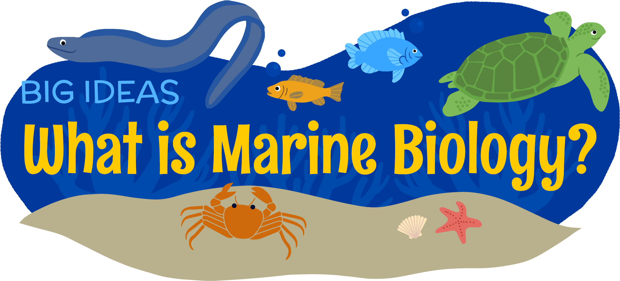 What Is Marine Biology - What Is Marine Biology (2000x988)