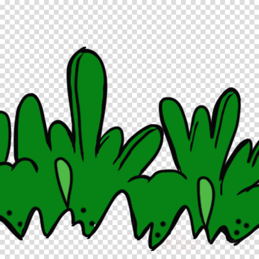 Clip Art Clipart Grasses Clip Art - Clip Art Clipart Grasses Clip Art (900x900)