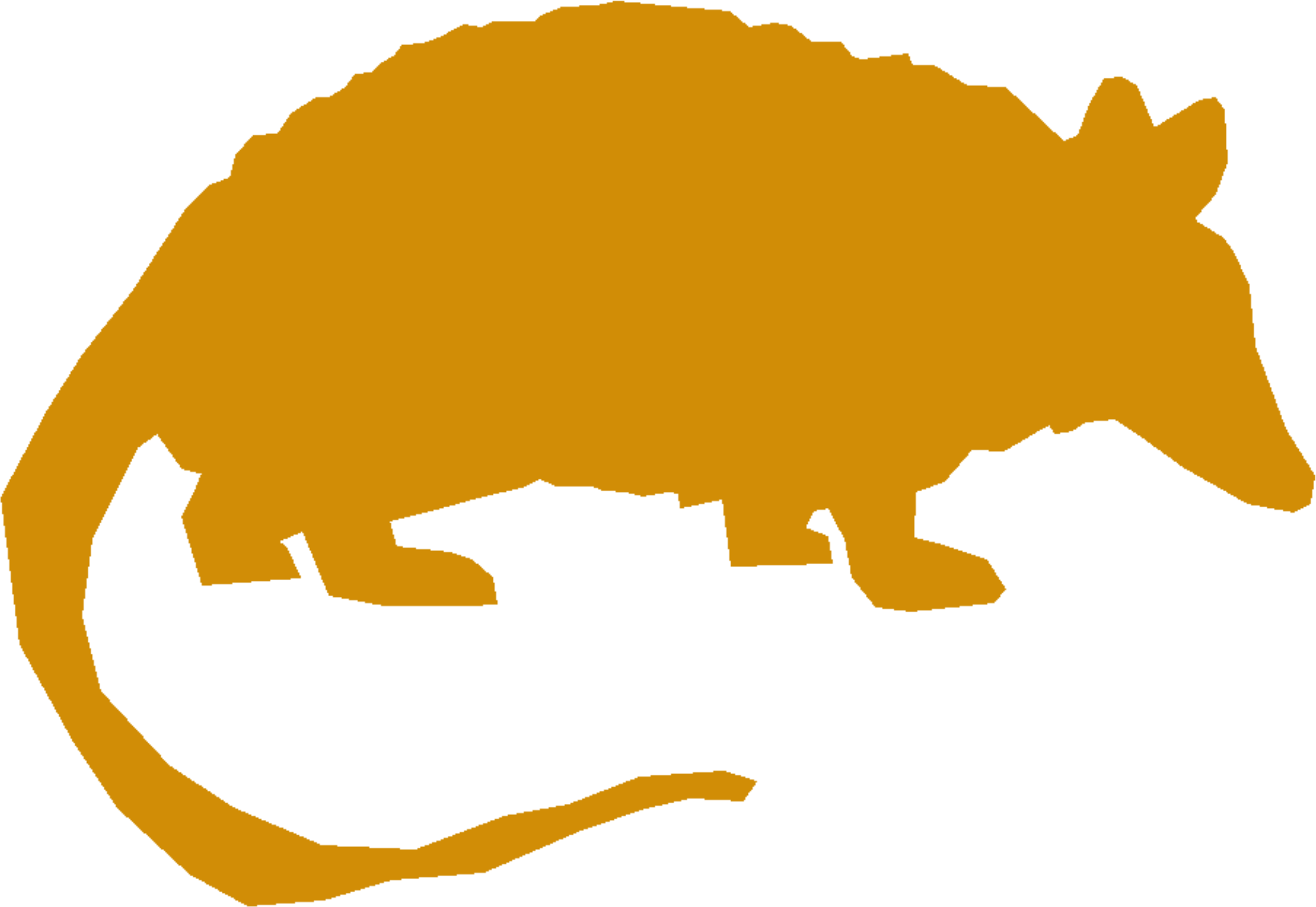 All Photo Png Clipart - All Photo Png Clipart (2131x1468)