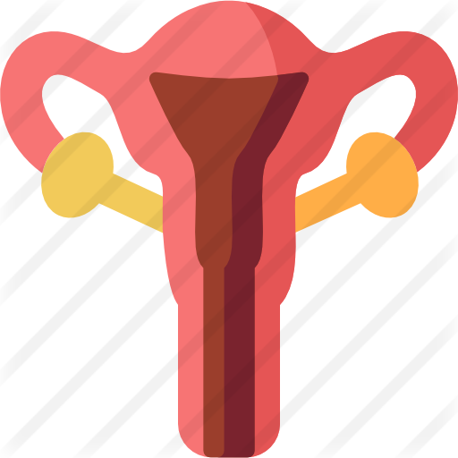 Uterus Free Icon - Uterus Free Icon (512x512)