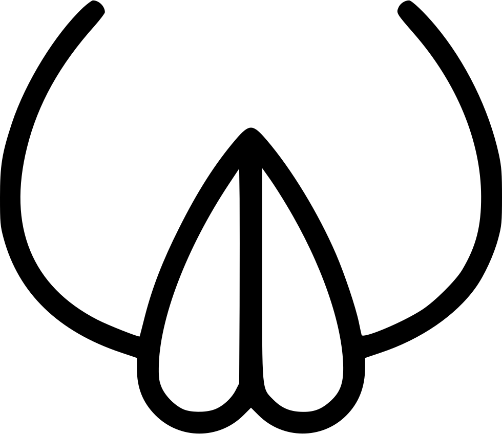 Woman Vagina Labia Uterus Urogenital System Comments - Woman Vagina Labia Uterus Urogenital System Comments (980x848)