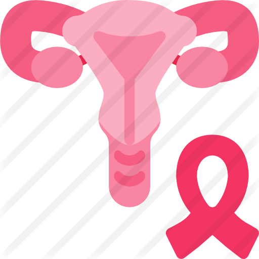 Uterus Free Icon - Uterus Free Icon (512x512)
