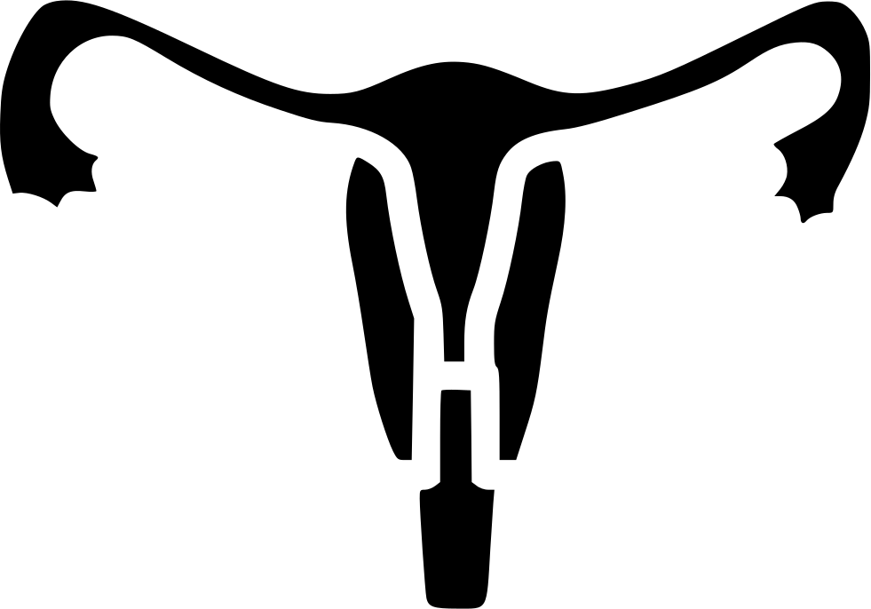 Uterus Human Body Part Medical Tube Uterine Comments - Uterus Human Body Part Medical Tube Uterine Comments (981x686)