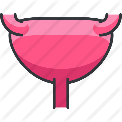 Uterus Free Icon - Uterus Free Icon (512x512)