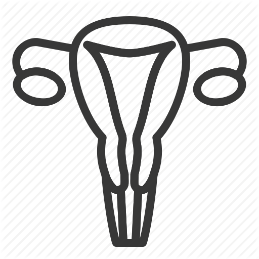 Drawing Medicine Uterus - Drawing Medicine Uterus (512x512)