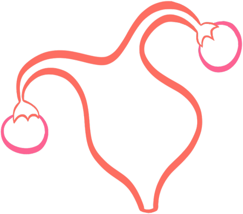 Uterus - Uterus (477x420)