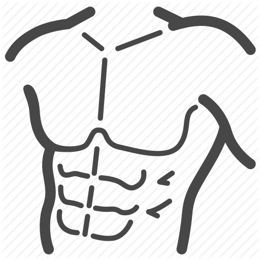 Shredded - Shredded (512x512)