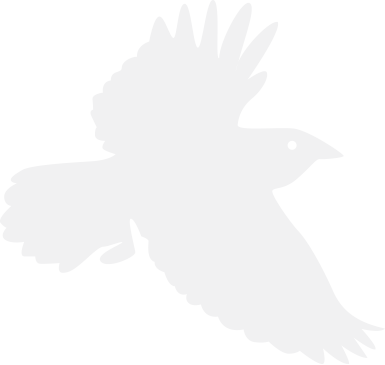 Newsletter - Newsletter (385x365)