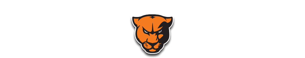 Panther Football Academy - Panther Football Academy (1080x225)