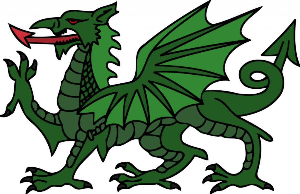 Dragon Colour In - Dragon Colour In (1024x663)