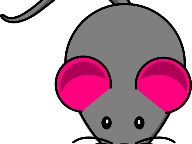 Rat Clipart Gray Mouse - Rat Clipart Gray Mouse (640x480)