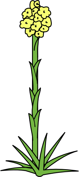 Original Png Clip Art File Plant Flower Svg Images - Original Png Clip Art File Plant Flower Svg Images (264x590)