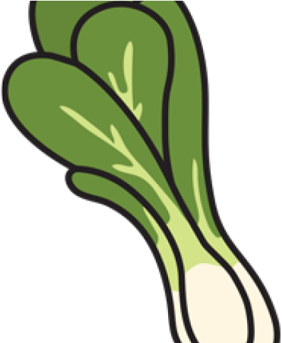 Bok Choy Clipart Transparent - Bok Choy Clipart Transparent (640x480)