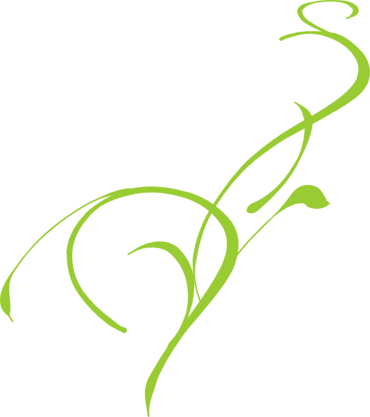 Green Floral Cliparts - Green Floral Cliparts (528x595)