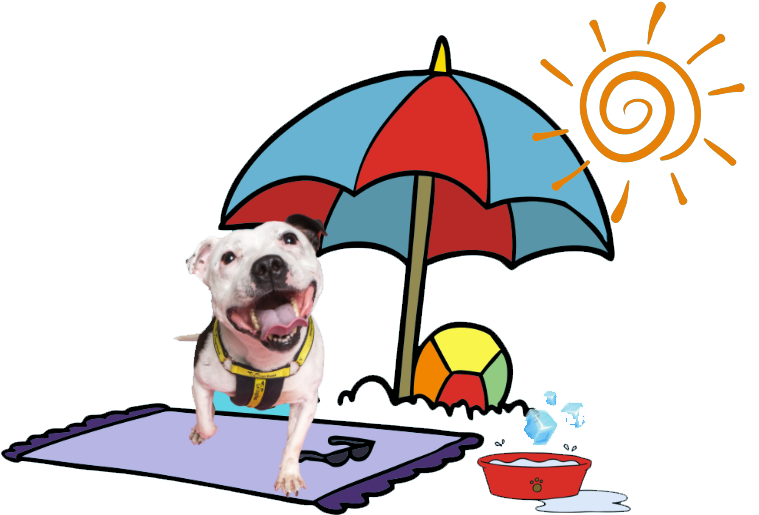 Dog Rescue & Rehoming Charity - Dog Rescue & Rehoming Charity (1049x790)