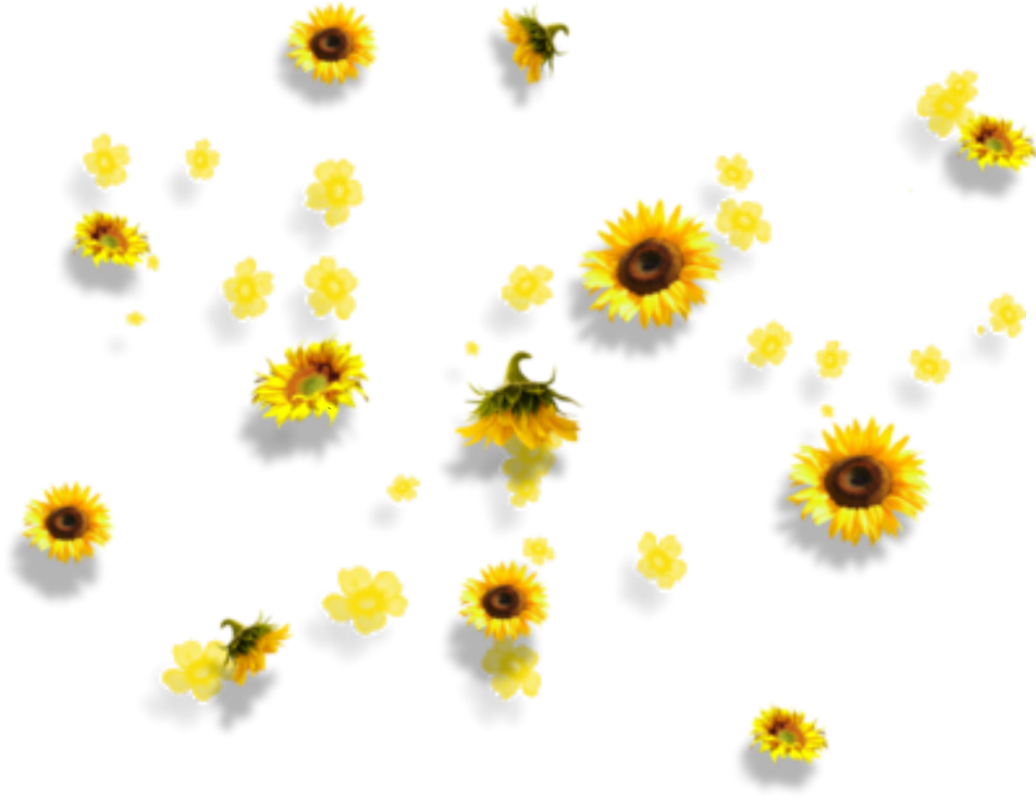 Yellow Flowers Aesthetic Tumblr Falling - Yellow Flowers Aesthetic Tumblr Falling (1024x1024)