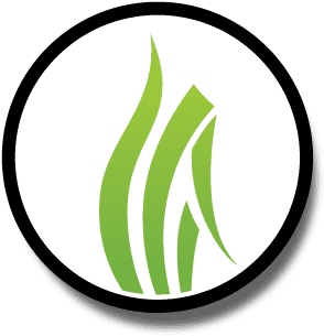 Lawn Fertilizer - Lawn Fertilizer (360x360)