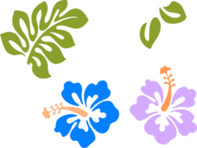 Hibiscus Clipart Svg - Hibiscus Clipart Svg (640x480)
