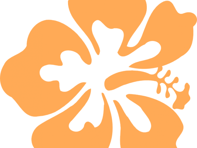 Hibiscus Clipart Orange Hibiscus - Hibiscus Clipart Orange Hibiscus (640x480)