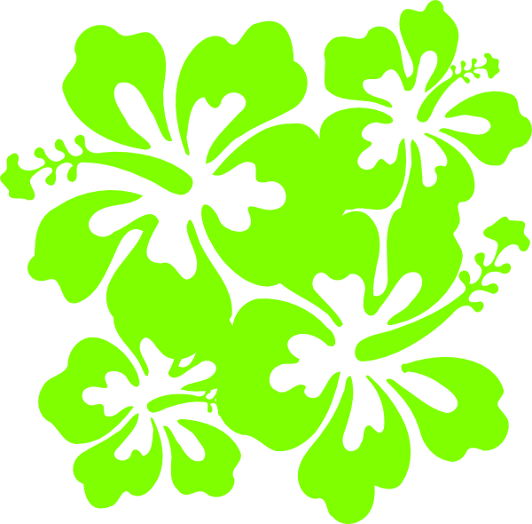 Hibiscus Png - Hibiscus Png (600x590)