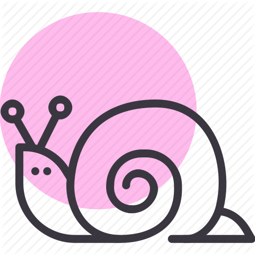 Mollusc Clipart Snail Shell - Mollusc Clipart Snail Shell (512x512)