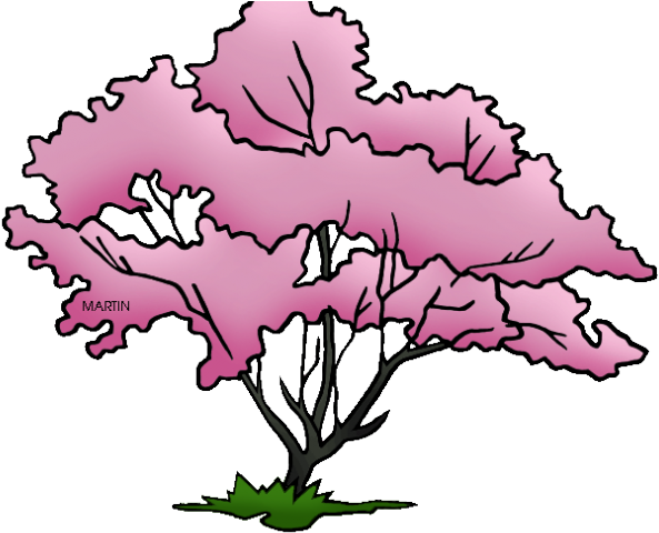 Pretty Clipart Dogwood Tree - Pretty Clipart Dogwood Tree (640x480)