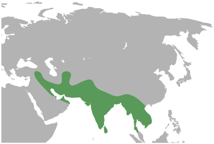 Bounding Distribution Range - Bounding Distribution Range (440x296)