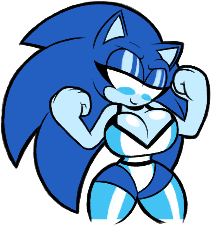 Patreon Request, Sonic In Some Wrestling Outfit That - Patreon Request, Sonic In Some Wrestling Outfit That (861x928)