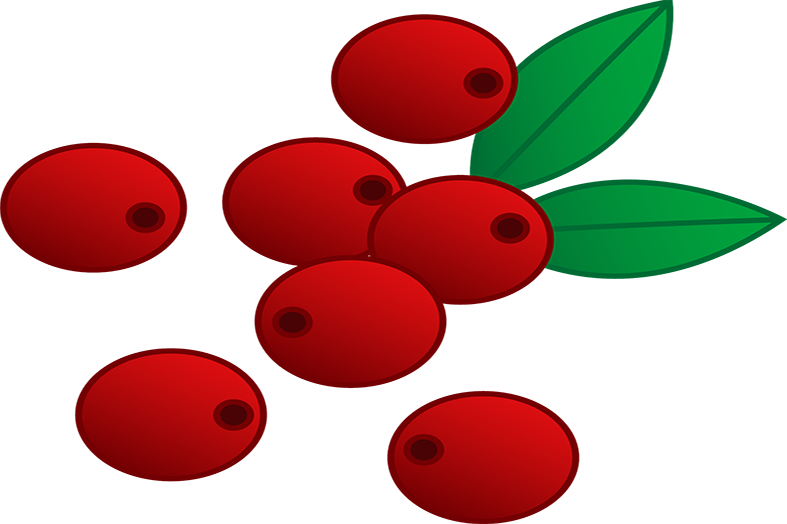 Cranberry Relish Clipart Holly Berry - Cranberry Relish Clipart Holly Berry (787x524)