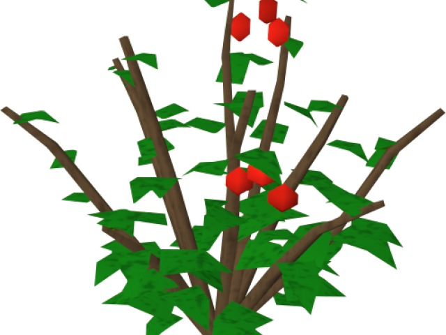 Rose Bush Clipart Holly Berry Bush - Rose Bush Clipart Holly Berry Bush (640x480)