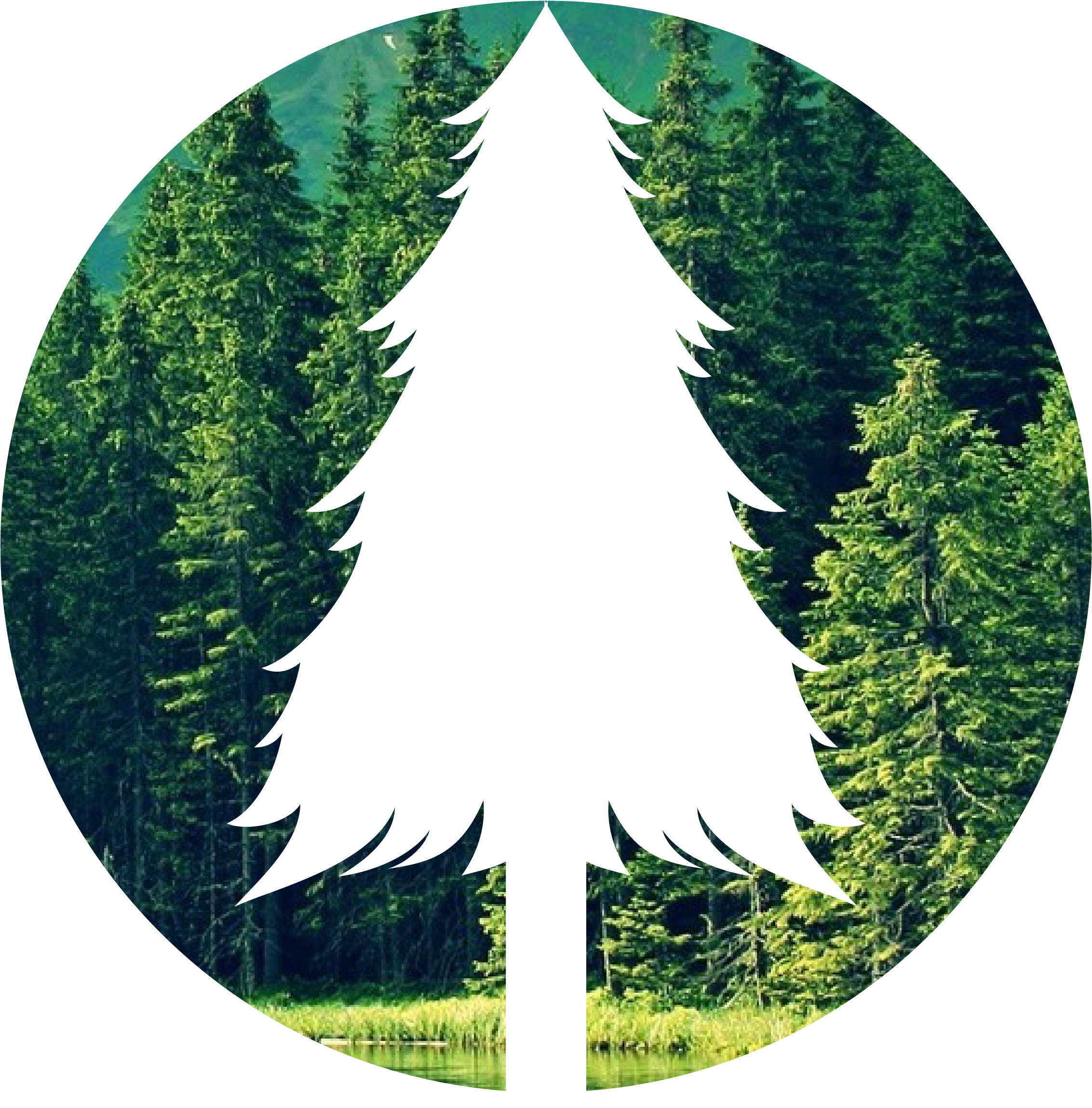 The Forest Png - The Forest Png (2333x2334)
