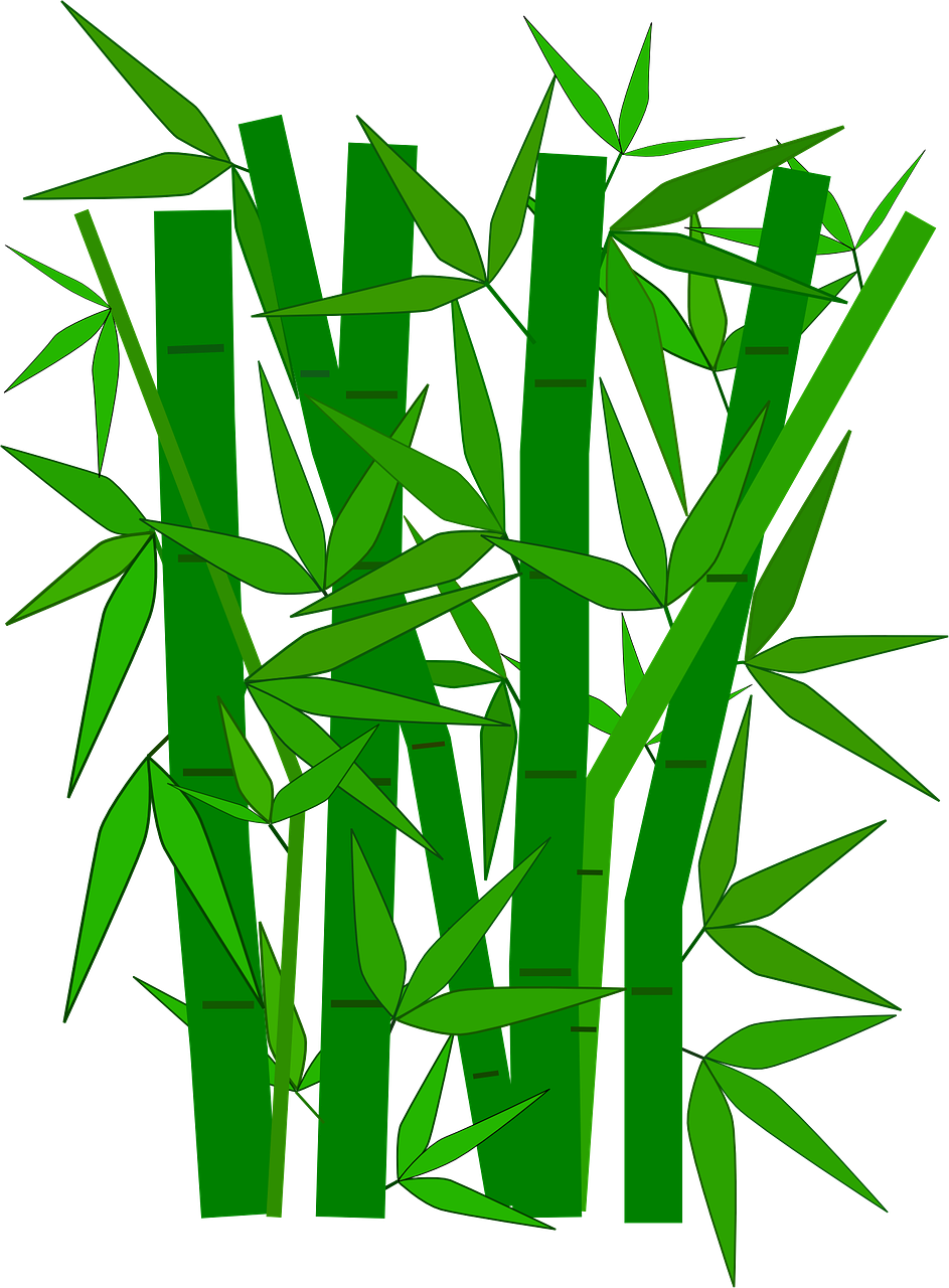 Garden, Bamboo Forest Plant Green Leaves Branches - Garden, Bamboo Forest Plant Green Leaves Branches (943x1280)