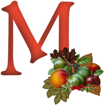 Alphabet And Numbers, Clip Art, Letters, Monograms, - Alphabet And Numbers, Clip Art, Letters, Monograms, (492x500)