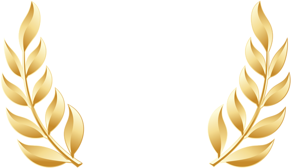 Golden Leaves Transparent Image - Golden Leaves Transparent Image (600x354)