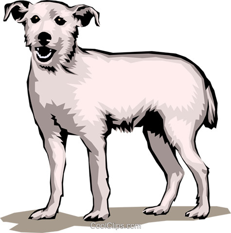 Terrier Dog Royalty Free Vector Clip Art Illustration - Terrier Dog Royalty Free Vector Clip Art Illustration (475x480)