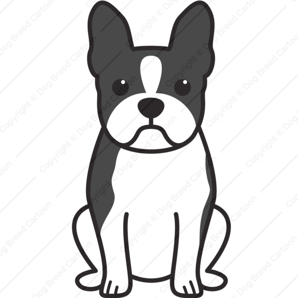 Free Download Boston Terrier Cartoon Clipart Boston - Free Download Boston Terrier Cartoon Clipart Boston (600x600)