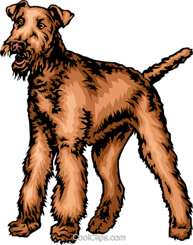 Terrier Dog Royalty Free Vector Clip Art Illustration - Terrier Dog Royalty Free Vector Clip Art Illustration (379x480)