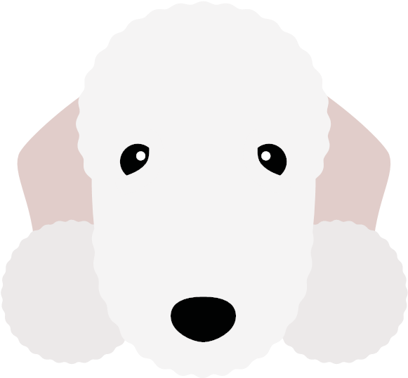 The Bedlington Terrier - The Bedlington Terrier (600x600)